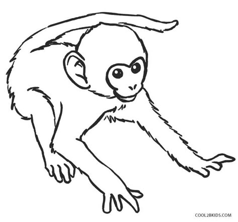 Monkey Template, Monkey Coloring Pages, Monkey Drawing, Baby Coloring Pages, Animal Art Projects, Monster Coloring Pages, Cartoon Drawing Tutorial, Cartoon Monkey, Spider Monkey