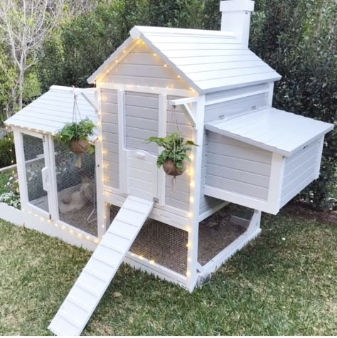 Bunny Homes Outdoor, Bunny Houses Outdoor, Bunny Set Up Outdoor, Bunny Cages Outdoor, Bunny House Outdoor, Bunny Coop, Rabbit Cages Outdoor, She Shed Interior Ideas, Rabbit Shed