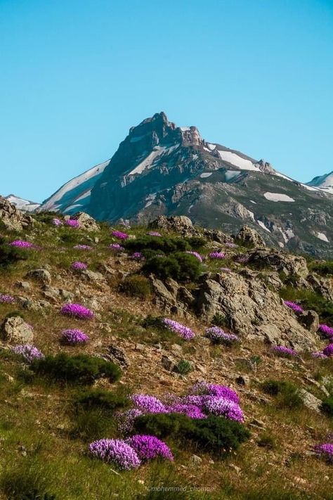 Kurdistan Mountains, Kurdistan Nature, Zagros Mountains, New Journey, Heaven On Earth, Mount Rainier, Beautiful Images, Iran, Natural Landmarks