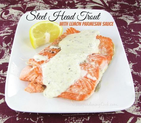 Steelhead trout with lemon parmesan sauce Sauce For Trout, Steel Head Trout, Steel Head Trout Recipes, Lemon Parmesan Sauce, Easy Sauces, Fish Meals, Meatless Dishes, Trout Recipes, Paleo Protein