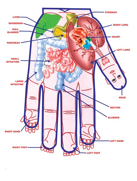 Sujok Therapy / Acupressure Acupressure Points In Hand, Sujok Therapy, Acupressure Point, Spa Music, Acupressure Therapy, Hand Reflexology, Reflexology Chart, Acupressure Massage, Reflexology Massage