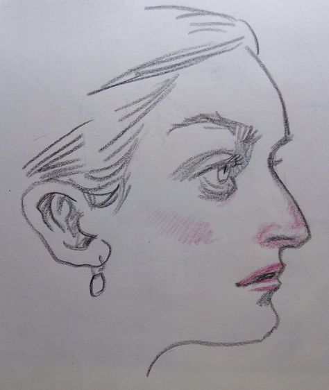 simple pencil drawing in black of  a woman's profile with a roman nose. shaded with red. she wears a earring and has small lips. Aquiline Nose, Hooked Nose, Female Drawing, Nose Drawing, Art Diary, Nose Art, The Nose, Drawing Base, Art Tips