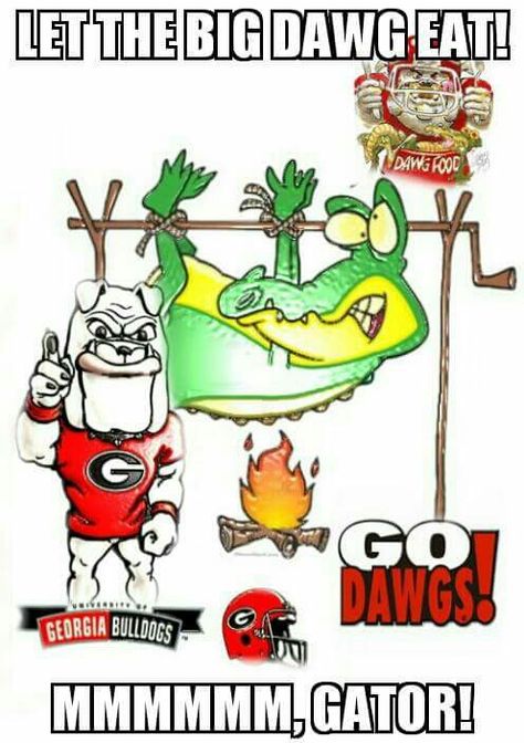 Georgia Bulldawgs! Ga Football, Funny Bulldog Pictures, Georgia Bulldog Mascot, Dawgs Football, Atlanta Falcons Wallpaper, Georgia Bulldawgs, Uga Football, Uga Bulldogs, Ga Bulldogs