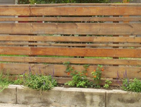 Horizontal Wood Fence, Wood Fence Ideas, Modern Wood Fence, Horizontal Slat Fence, Garden Fence Ideas, Wood Fence Design, Gabion Wall, Privacy Fence Designs, Front Fence