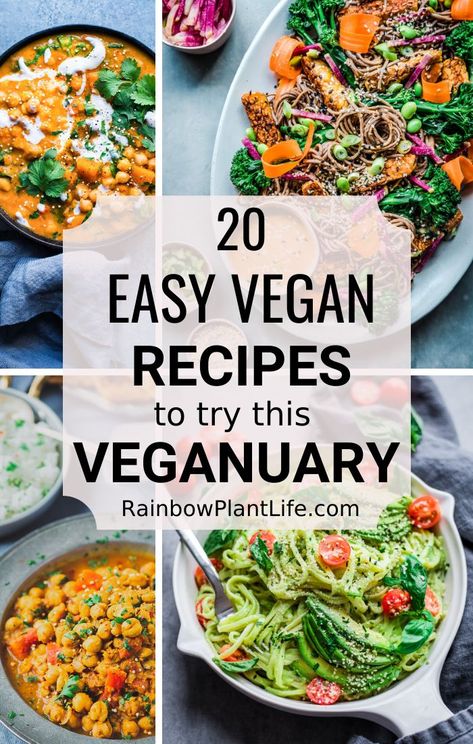 A roundup of 20 Easy Vegan Recipes that are perfect for Veganuary! Whether you’re newly vegan, been vegan for years, or just veg-curious, these flavor-packed vegan recipes will blow your mind! #veganuary #veganrecipes #veganfood #veganblog #healthyvegan #newvegan Rainbow Plant Life, Counting Carbs, Healthy Vegan Desserts, Vegan Brunch, Vegan Pasta Recipes, Vegan Main Dishes, Dinner Chicken, Easy Vegan Recipes, Easy Weeknight