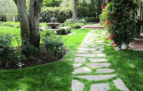 Planting the right ground cover plants between pavers in your garden helps prevent weeds and erosion, all while adding color and texture to the space. Budget Landscaping, Flagstone Path, Backyard Walkway, Walkway Landscaping, Walkway Ideas, Brick Garden, Garden Stairs, Budget Garden, Garden Walkway