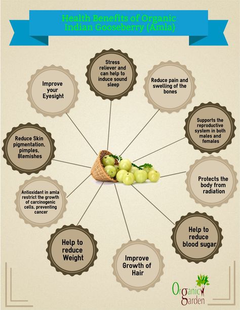 Health Benefits of Organic Amla http://organicgarden.co.in/Fruits/Indian-Gooseberry-Awla.html?pid=585&subCatid=67 Gooseberry Benefits, Amla Juice Benefits, Amla Benefits, Amla Juice, Indian Gooseberry, Ayurvedic Healing, Eat Better, Reproductive System, Health Knowledge