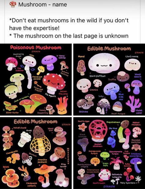 Types Of Mushrooms, Mushroom Drawing, Psy Art, Mushroom Art, Pretty Plants, Art Tips, Useful Life Hacks, Drawing Tips, The Picture