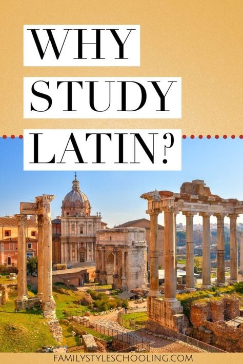 What if learning Latin was more spiritual than practical? After 11 years of studying Latin, I have new reasons for continuing to pursue Latin. Learning Latin, Teacher Tricks, Why Study, Eye Surgeon, Country Studies, Latin Quotes, Classical Conversations, Gulf Shores, Teacher Hacks