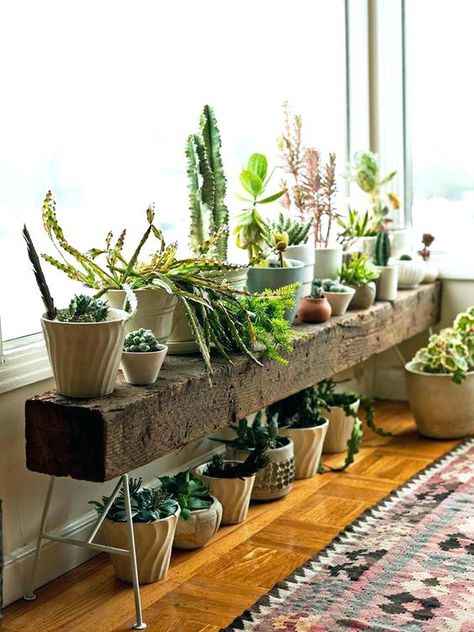 Indoor Plants Diy, Indoor Plant Shelves, Koti Diy, Support Pour Plante, Trendy Plants, Plant Stands Outdoor, Living Room Plants, Wooden Plant Stands, Wood Plant Stand