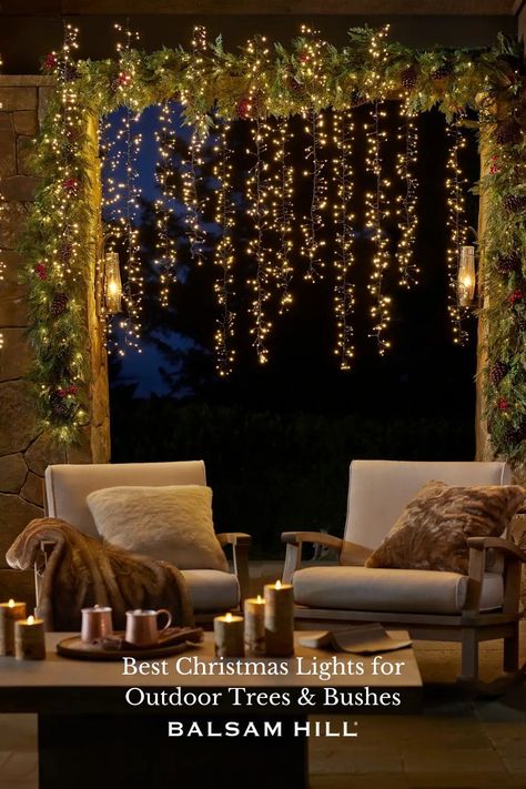 Make your home’s exteriors match the festive mood of your indoor decorations this holiday season. Why not show off the natural beauty of your trees and landscaping and put together the perfect outdoor lighted display? Check out our guide to the best Christmas lights for outdoor trees and bushes below. Outdoor Trees, Christmas Window Decorations, Unique Christmas Decorations, Casa Exterior, Professional Decor, Led Christmas Lights, Outdoor Holidays, Christmas String Lights, Outdoor Christmas Lights