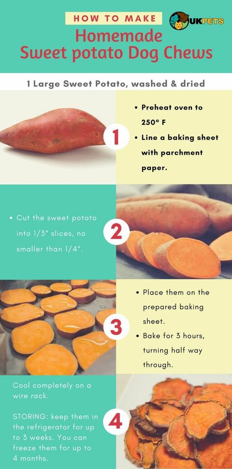 Sweet Potato Dog Chews, Sweet Potato Dog, Homemade Dog Cookies, Potato Dog, Easy Dog Treat Recipes, Make Dog Food, Dog Biscuit Recipes, Doggy Treats, Easy Dog Treats