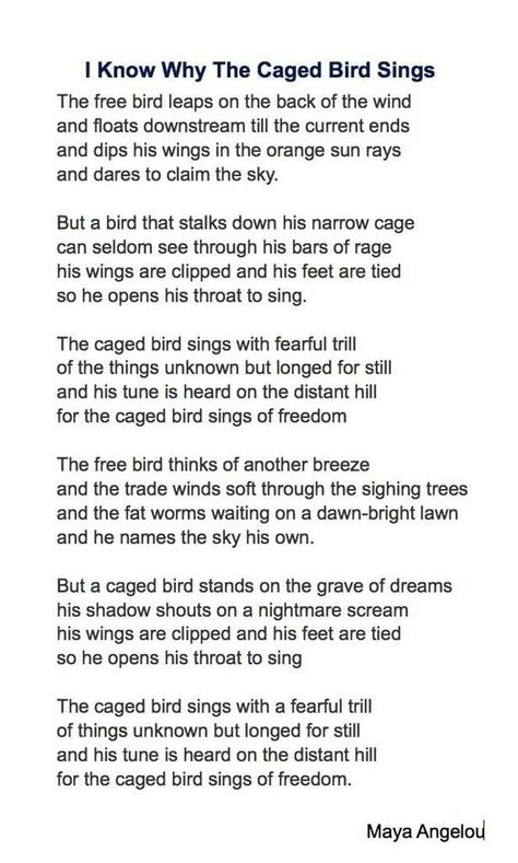 The free bird leaps on the back of the wind and floats downstream till the current ends and dips his wings in the orange sun rays and dares to claim the sky. But a bird that stalks down his narrow cage can seldom see through his bars of rage his wings are clipped and his feet are tied so he opens his throat to sing. The caged bird sings with fearful trill of the things unknown but longed for still and his tune is heard on the distant hill for the caged bird sings of freedom. Bird Painting Diy, Swallow Bird Tattoos, Funny Bird Pictures, Bird Tattoo Men, Red Bird Tattoos, Bluebird Tattoo, Watercolor Bird Tattoo, Black Bird Tattoo, Flying Bird Tattoo