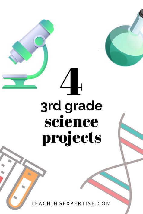 You're helping your third grader with a science project? Check out our article on how to do 3rd grade science projects. Easy Science Fair Projects For 3rd Grade, Third Grade Learning Activities, Third Grade Crafts Activities, Science Project For 3rd Grade, Science Projects For 3rd Grade, 3rd Grade Science Projects Ideas, Third Grade Science Fair Projects, 3rd Grade Science Classroom, 3rd Grade Science Fair Projects Ideas