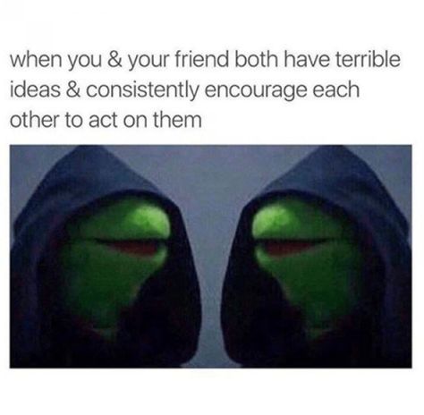 38 Funny Memes And Pics To Distract You From Your Misery Funny Kermit Memes, Kermit Meme, Friendship Memes, Kermit Funny, Friend Memes, Best Friends Funny, Kermit The Frog, Work Memes, The Frog