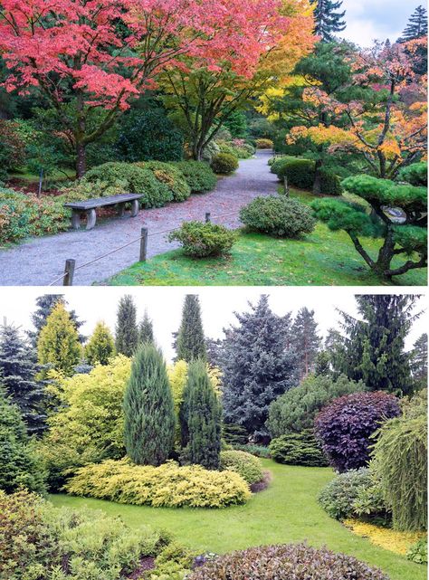 Inexpensive Landscaping, Conifers Garden, Landscape Design Drawings, Evergreen Garden, Landscape Edging, Landscape Design Plans, Landscaping Supplies, Flower Landscape, Landscape Plans