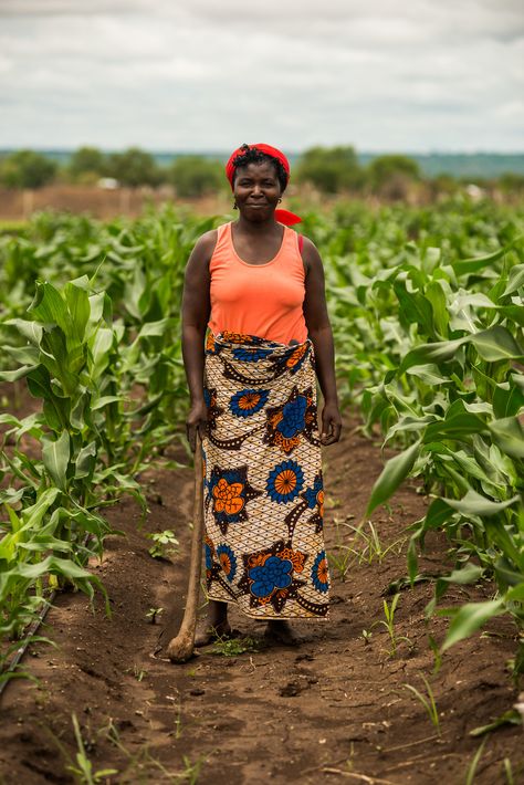 Livingstone Zambia, Hebrew Women, Eagle Hunter, Ux Design Principles, Zambia Africa, Women In Africa, Farm Women, Africa Photography, Female Farmer