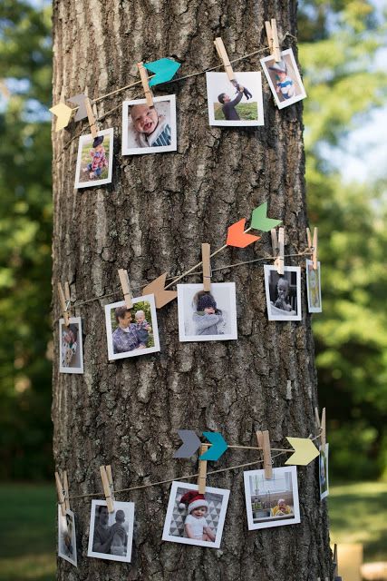 Birthday Photos Decoration Ideas, First Birthday Backyard Party Decoration, Fence Decor Birthday Party, Birthday Party In The Woods, Birthday In The Woods, Party Outside Ideas Backyards, First Birthday At A Park, Wild One Outdoor Birthday Party, Birthday Party Photo Display