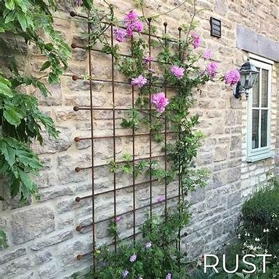 Garden Trellis Panels, Brick Wall Gardens, Metal Garden Trellis, Wall Trellis, Garden Wall Designs, Trellis Ideas, Metal Trellis, Trellis Panels, Outdoor Trellis