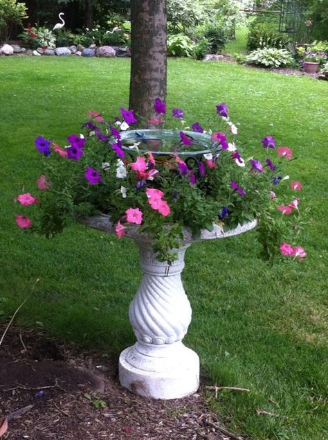 Bird Bath With Flowers, Front Yard Bird Bath Garden Ideas, Birdbath Ideas Landscaping, Birdbath Ideas, Bird Bath Planter, Bird Bath Garden, Container Gardening Flowers, Bird Baths, Flower Pots Outdoor