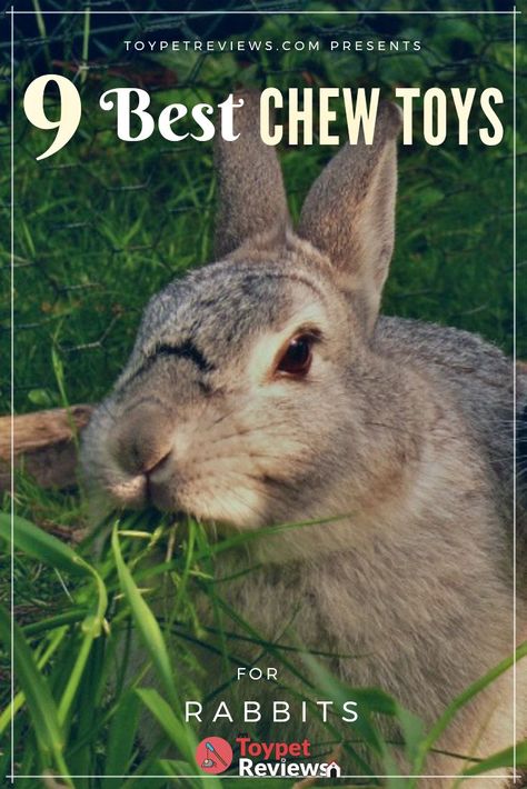 Bunny Chew Toys Diy, How To Make Bunny Toys, Bunny Chew Toys, Rabbit Toys And Boredom Busters, Flemish Rabbit, Bunny Tips, Rabbit Enrichment, Toys For Rabbits, Rabbit Chew Toys