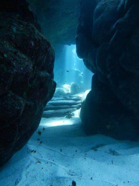 underwater caverns repinned by #smgtreppen Underwater Caves, Bawah Air, Cave Diving, Underwater Photography, Sea And Ocean, Underwater World, Ocean Life, Atlantis, Scuba Diving