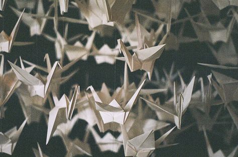 sam roth's paper cranes Cranes Aesthetic, Six Crimson Cranes, Kalluto Zoldyck, Kubo And The Two Strings, Origami Cranes, Paper Cranes, Kagerou Project, Castle In The Sky, Princess Mononoke