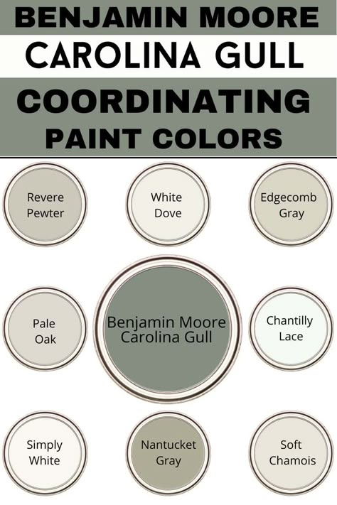 Benjamin Moore Carolina Gull Paint Color Review Carolina Gull Palette, Carolina Gull Benjamin Moore Bedroom, Sherwin Williams Carolina Gull, Carolina Gull Coordinating Colors, Carolina Gull Cabinets, Benjamin Moore Carolina Gull Cabinets, Carolina Gull Benjamin Moore Kitchens, Bm Carolina Gull, Lush Benjamin Moore