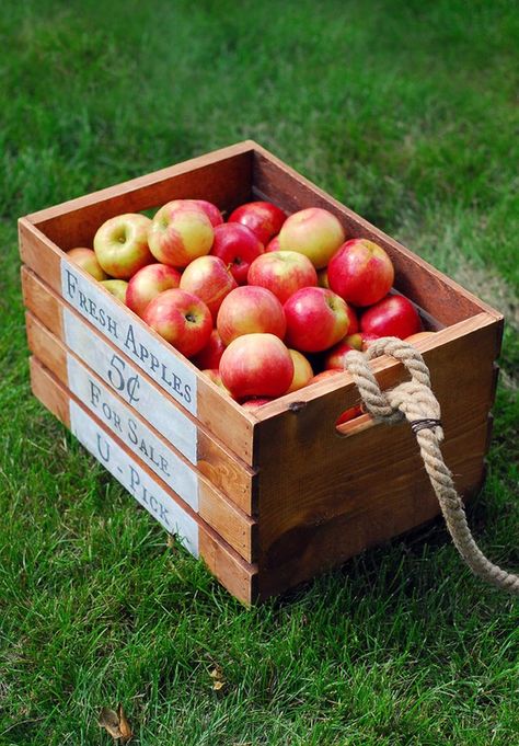 Apple crate with rope handle Apple Crate, Diy Apple, Apple Crates, Fun And Easy Crafts, Fall Craft Ideas, Apple Boxes, Cart With Wheels, Pumpkin Desserts, Vintage Apple