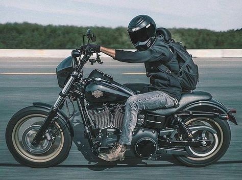 Suzuki Bandit 600, Hd Fatboy, Dyna Club Style, Мотоциклы Harley Davidson, Hd Motorcycles, Dyna Low Rider, Suzuki Bandit, Harley Davidson Bike, Harley Dyna