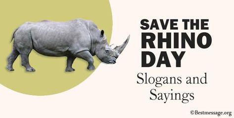 Save the Rhino Day Rhino Quotes, Save The Rhino, Wishes Messages, Quotes