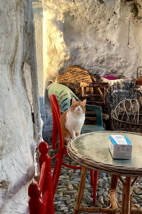 Photo Location: Sacromonte Granada, Spain Cave Home #granada #spain #spaintraveltips Andalucia Spain Aesthetic, Spain Life Aesthetic, South Of Spain Aesthetic, Spain Lifestyle Aesthetic, Granada Spain Aesthetic, Spain Culture Aesthetic, Seville Spain Aesthetic, Summer In Spain Aesthetic, Granada Aesthetic