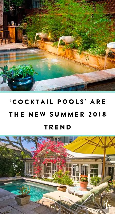 Outdoor Pool Ideas, Cocktail Pools, Small Pools Backyard, Cocktail Pool, Kleiner Pool Design, Dipping Pool, Pools For Small Yards, Courtyard Pool, Small Swimming Pools