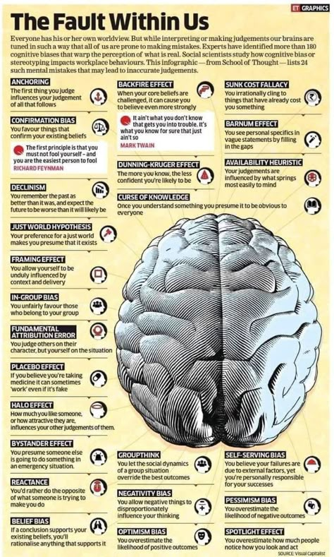 Brain Scan Neuroscience, Flow Psychology, Biological Psychology, Human Behavior Psychology, Mental Models, Logic And Critical Thinking, Brain Models, Basic Anatomy And Physiology, Applied Psychology