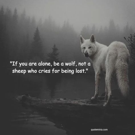 Lone Wolf Quotes Women, Wolf Quotes Inspirational, Wolf Loyalty, Wolf Poetry, Wolf Quote, Wolves And Ravens, Good Memories Quotes, Inspirational Animal Quotes, Anime Quotes About Life