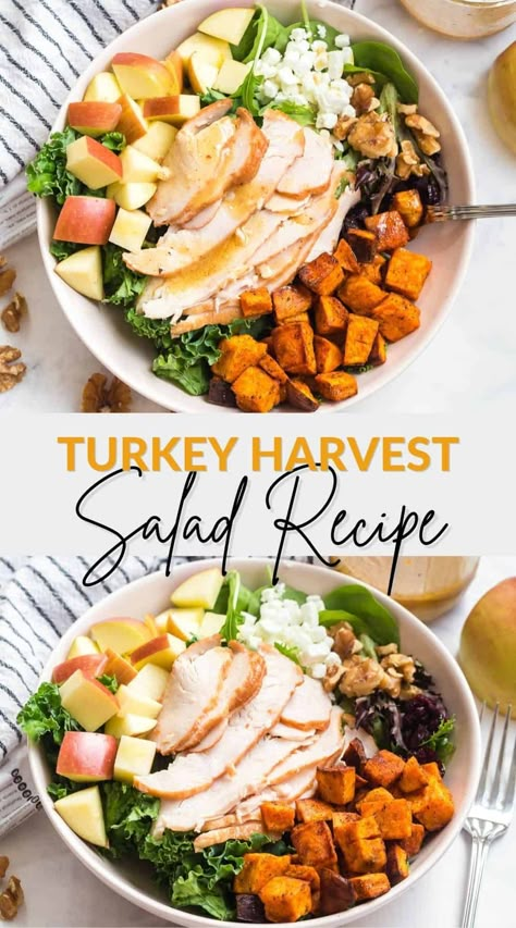 This turkey harvest salad recipe is made with delicious whole foods like lean turkey breast, sweet potatoes, dried cranberries, walnuts, goat cheese, with kale and spring mix. Finished with a homemade apple cider vinaigrette dressing. This dinner or lunch idea is one of my favorite fall salad recipes. Apple Cider Vinaigrette Dressing, Cider Vinaigrette Dressing, Fall Salad Recipes, Harvest Salad Recipes, Turkey Salad Recipe, Apple Cider Vinaigrette, Autumn Salad Recipes, Cider Vinaigrette, Winter Salad Recipes