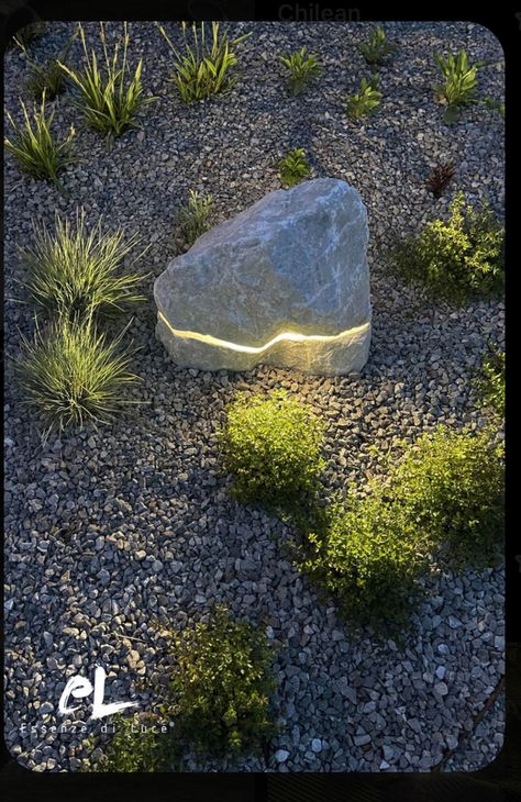 Creative Outdoor Lighting, Outdoor Garden Lighting, Landscape Lighting, Outdoor Design, Japanese Garden, Dream Garden, Garden And Yard, Westminster, Diy Outdoor