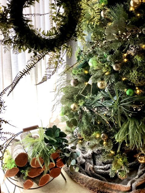 Desert Garden Inspiration Christmas Tree Decor Ideas Desert Themed Christmas Tree, Plant Themed Christmas Tree, Desert Christmas Tree, Desert Christmas Decor, Plant Christmas Tree, Sonora Desert, Christmas Tree Decor Ideas, Tree Decor Ideas, Sense Of Sight