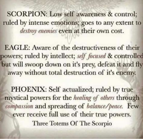 3 totems of scorpio Scorpio Things, All About Scorpio, The Power Of Three, Totem Tattoo, Power Of Three, Astrology Scorpio, The Scorpions, Scorpio Traits, Scorpio Girl