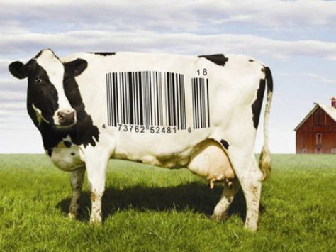 8 food documentaries to watch that will change the way you think about food Country Food Recipes, Food Documentaries, Perfect Pork Chops, Vegan London, World Vegan Day, Country Food, Movies To Watch Online, Food Inc, Why Vegan