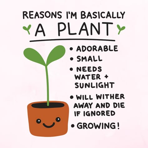 Plant Phrases, Plant Jokes, Plant Quotes, Plant Puns, Plants Quotes, Plants Are Friends, Ficus Lyrata, Garden Quotes, Plant Cuttings