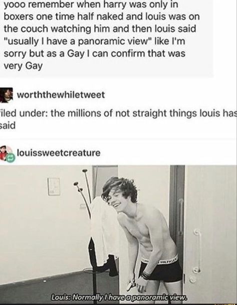 Four One Direction, Larry Shippers, Direction Quotes, One Direction Quotes, One Direction Humor, One Direction Memes, Louis And Harry, One Direction Videos, Harry Styles Photos