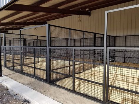 Horse Turnout Ideas, Horse Stall Dog Kennel, Shop With Horse Stalls, Horse Stall Bedding, Cattle Barn Designs, Indoor Riding Arena With Stalls, Show Cattle Barn, Stall Fronts Horse, Standing Horse