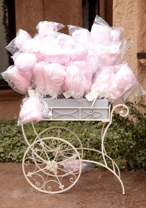 Smooth ride ~ a well worn cocktail bar frame is reborn as a cotton candy buggy for my next baby shower or ladies tea party. Cotton Candy Wedding, Cotton Candy Favors, Pink Wedding Inspiration, Candy Wedding Favors, Boda Mexicana, Blush Pink Weddings, Pink Cotton Candy, Circus Party, Wedding Candy