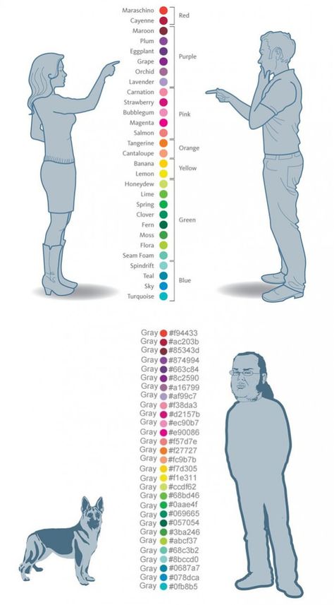 Colours according to women, men, dog and coders Programming Humor, 밈 유머, Undertale Memes, Man And Dog, 웃긴 사진, Memes Humor, New Memes, Fern, Sake