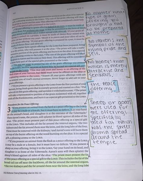 Religious Studies Revision Notes, Leviticus Bible Journaling Notes, Book Of Luke Bible Study, Leviticus Bible Study, Niv Bible Journaling, Journal Notes, Quotes Bible, Bible Doodling, Bible Journal Notes