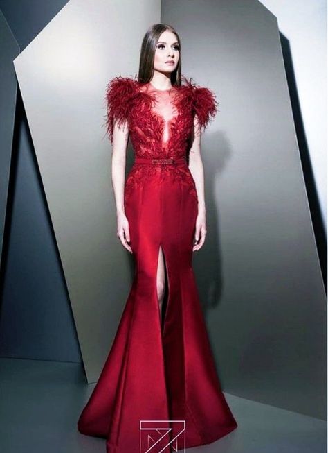 Dresses With Feathers, Dresses Runway, Ziad Nakad, Red Carpet Party, Fancy Dresses Long, Haute Couture Dresses, Red Gowns, Couture Gowns, Types Of Dresses