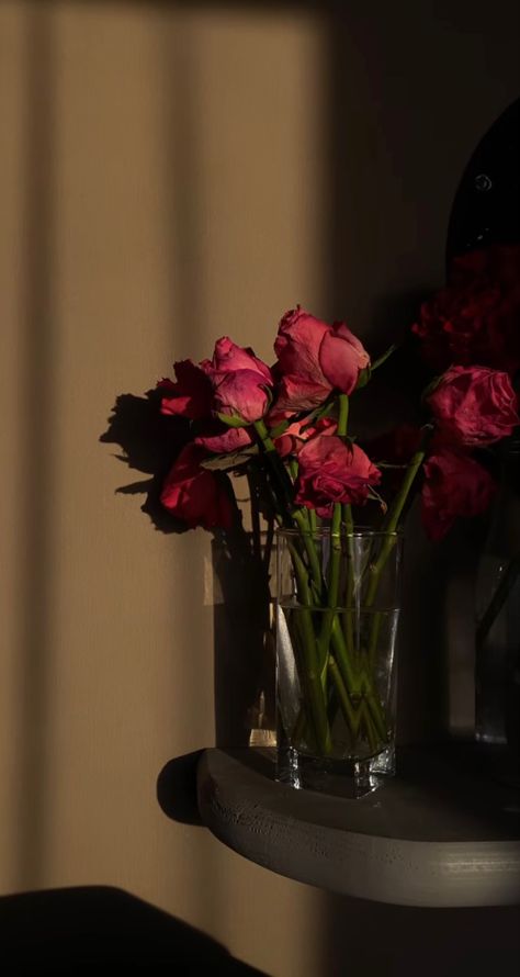 Aesthetic Wallpaper Shadow, Aesthetic Romantic Wallpaper, Wallpaper Shadow, Rose In Vase, Flower Aesthetic Wallpaper, Vase Aesthetic, Roses Background, Roses Aesthetic, Romantic Wallpaper