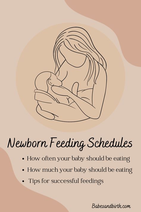 Creating a newborn feeding schedule can be overwhelming for new parents. Our post has everything you need to know about feeding schedules for newborns. Learn how often to feed your baby, signs that they are hungry, and tips for establishing a routine that works for your family. Don't miss out on this essential guide to help your newborn thrive! How Much To Feed A Newborn, Newborn Breastfeeding Schedule, Breastfeeding Schedule Newborn, Newborn Feeding Schedule, Bottle Feeding Newborn, Formula Fed Babies, Pumping Schedule, Newborn Schedule, Baby Feeding Schedule