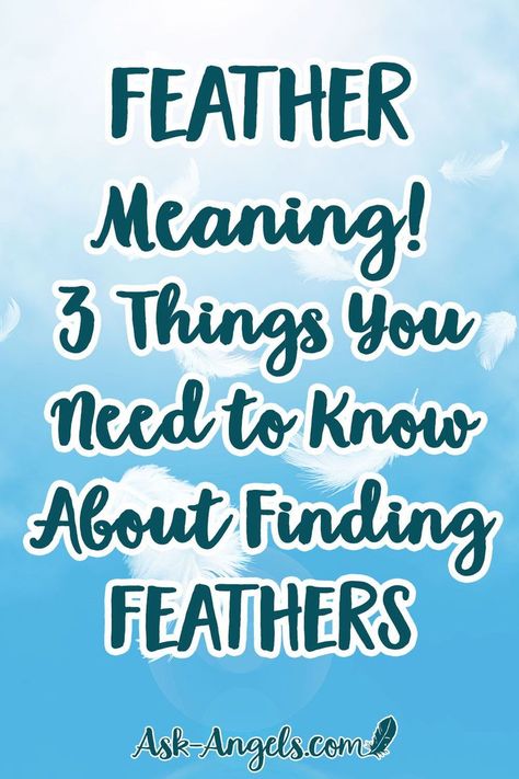 Feather Meaning! 3 Things You Need to Know About Finding Feathers. Do you ever find feathers? There's a specific message from the angels and corresponding feather meaning when this happens... Learn what it is here now! #angels #angelfeathers Feather Signs From Angels, Feather From Heaven, Finding Feathers Meaning, Meaning Of A Feather, Brown Feather Meaning, White Feather Meaning, Meaning Of Feathers, Spirit Guide Signs, Painting Feathers